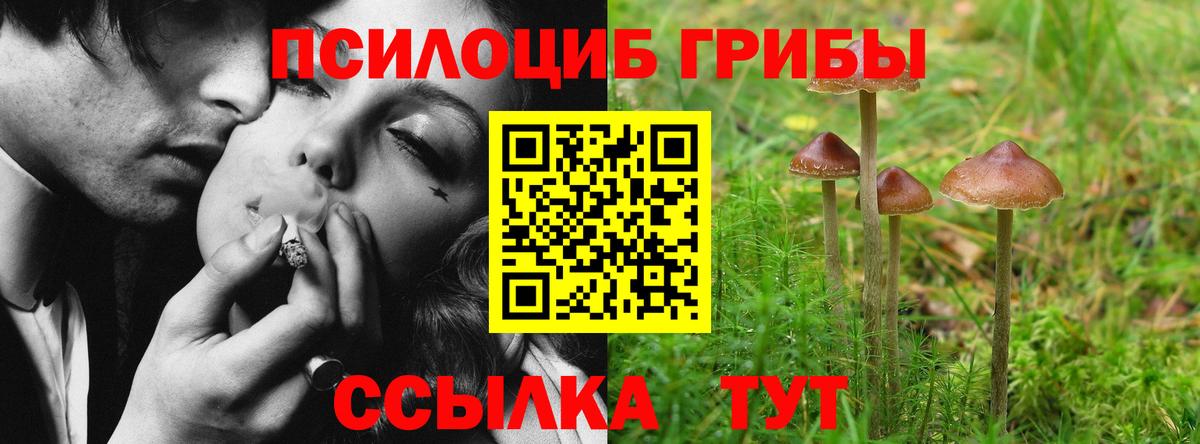 Псилоцибиновые грибы ЛСД  Вход с VPN  Котельники  Псилоцибиновые грибы прущие грибы 